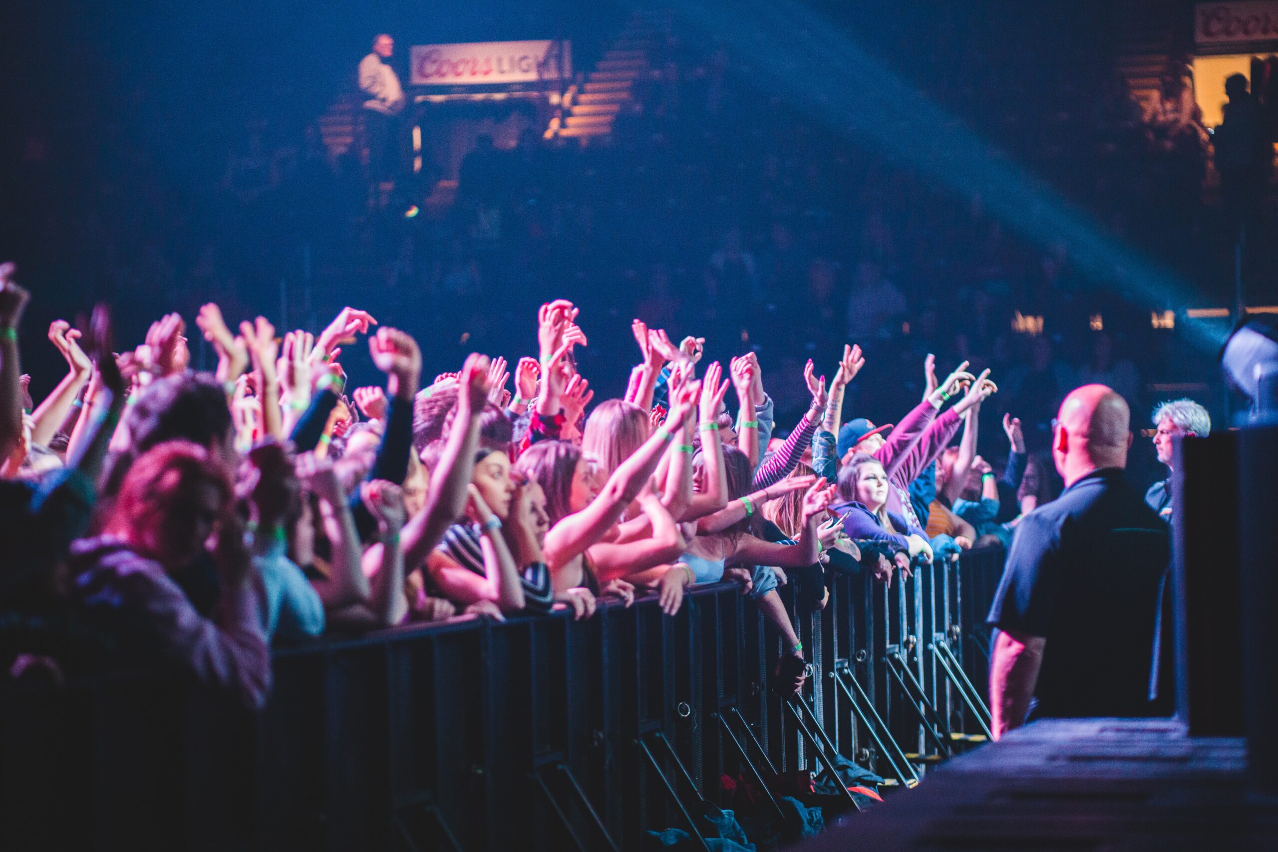 Concert Security Guard